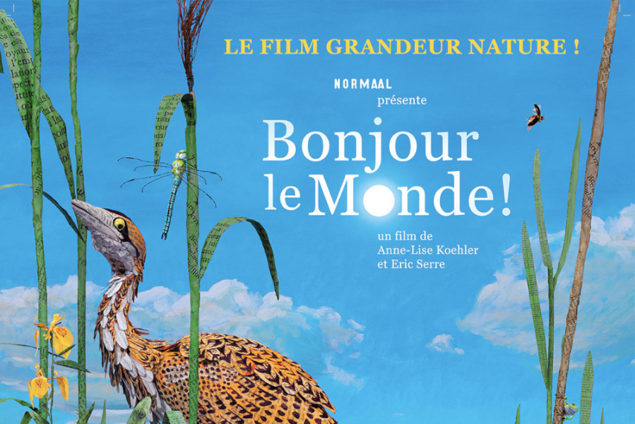 Bonjour_le_monde2