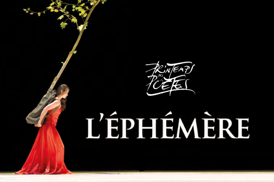 communique_de_presse_l_ephemere