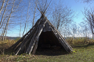 habitat_préhisto-news