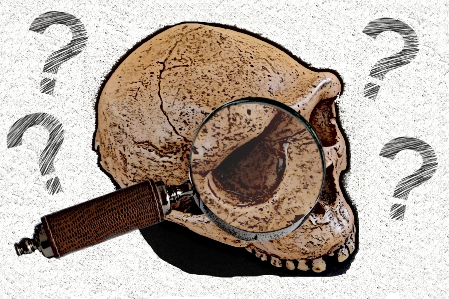 Sapiens_et_cie